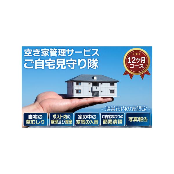 ■ 容量　【内容】　1．ご自宅の草むしり　2．ポスト内の整理及び廃棄（1、2合計ゴミ袋 45リットルまで）　3．家の中の空気の入れ替え　4．ご自宅まわりの簡易清掃　5．写真報告　　以上のサービスを12ヶ月（月1回×12ヶ月　合計12回）　提...