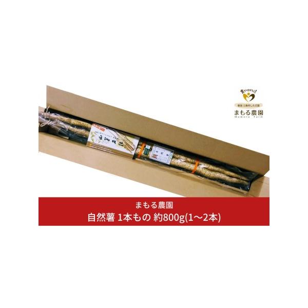 ■ 容量　●セット内容：自然薯800ｇ（１〜2本）　●賞味期限：出荷日より14日間■ 配送について　12月上旬から順次発送　※生育状況により、お届け期間が前後する場合がございます。　※お届け日の指定はお受けできません。　タイプ：【常温】