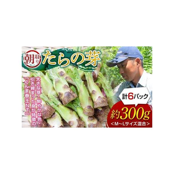 ■ 容量　たらの芽 50g以上（約5〜10本）×6パック　※M〜Lサイズの混合、計300gの発送となります。■ 配送について　2026年1月上旬〜4月中旬まで　タイプ：【冷蔵】