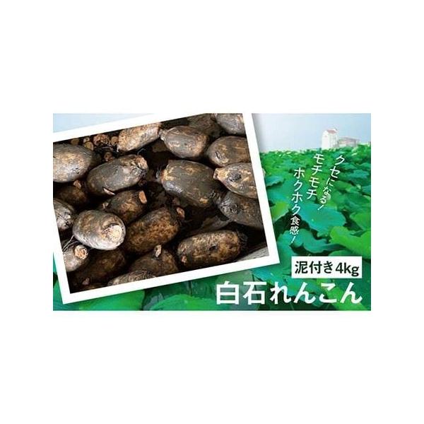 ■ 容量　れんこん（泥付き）：4kg　　※鮮度を保つため、れんこんは泥付きの状態でお送りします。新鮮なれんこんをお楽しみください。　　【賞味期限】　お早目にお召し上がりください。■ 配送について　                      ...