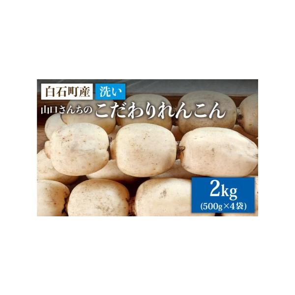 ■ 容量　洗いれんこん：2kg（500g×4袋）　 ※お召し上がり前は必ずれんこんを洗いご使用ください。　　　【賞味期限】　おいしく召し上がっていただくため、到着後、お早目にお召し上がりください。■ 配送について　 　 　※年末発送は行って...