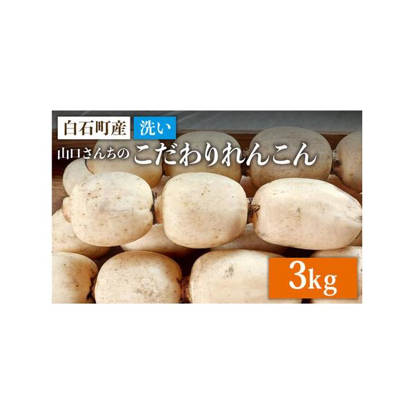 ■ 容量　洗いれんこん：3kg　                         ※お召し上がり前は必ずれんこんを洗いご使用ください。                                             　　　【賞味期限...