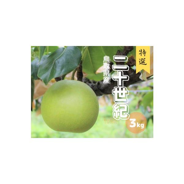 ■ 容量　特選 約3kg（6〜8玉前後）3L〜5Lサイズ■ 配送について　8月下旬〜9月下旬ごろを予定　タイプ：【常温】