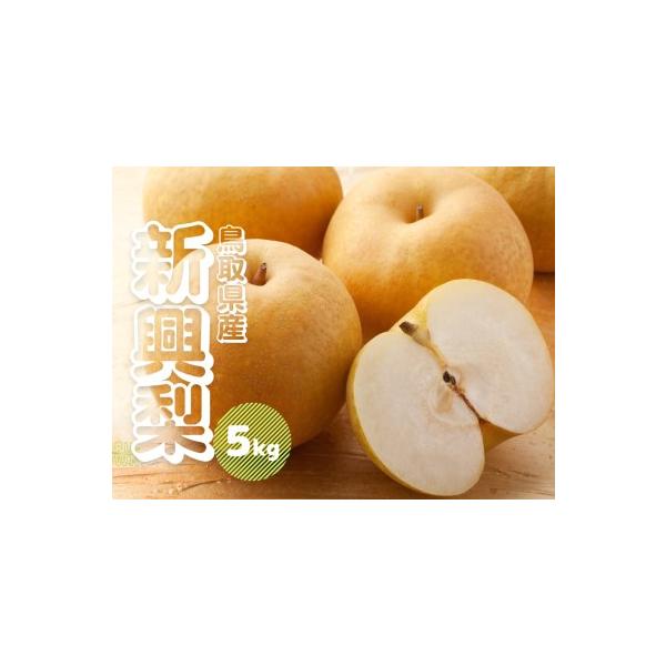 ■ 容量　新興 梨 5キロ前後（6〜18玉前後）■ 配送について　10月上旬〜11月予定　タイプ：【常温】