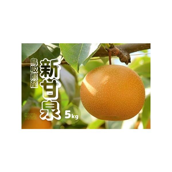 ■ 容量　新甘泉5kg前後（9〜18玉前後）■ 配送について　8月下旬〜9月中旬ごろ　タイプ：【常温】