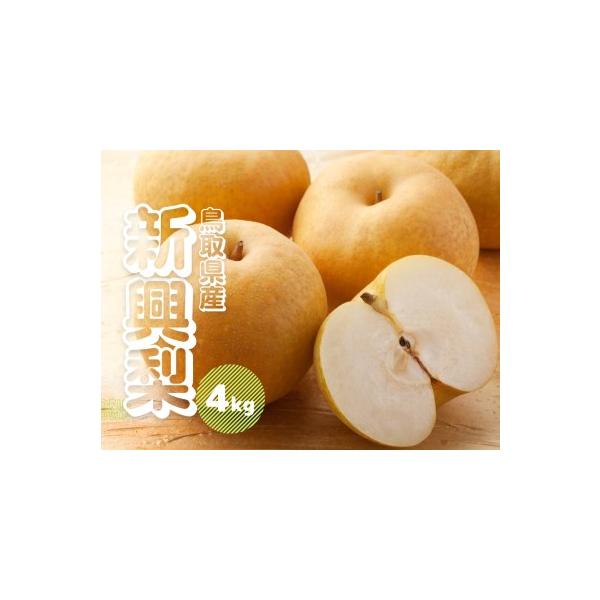 ■ 容量　新興 梨 約4キロ（5〜16玉前後）■ 配送について　10月上旬〜11月予定　タイプ：【常温】