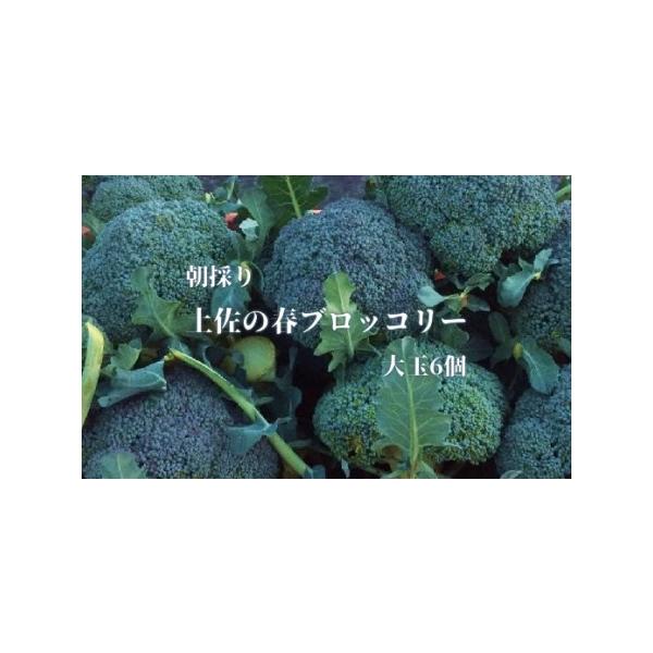 ■ 容量　【容量】　ブロッコリー　大玉６個　　★農家のオススメ専用レシピ付き　　【消費期限】　出荷日より冷蔵で２〜３日（※それ以降は冷凍してお召し上がりください。）　※ブロッコリーは常温保存できかねます。必ず冷蔵庫に入れ、冷蔵でも２〜３日以...