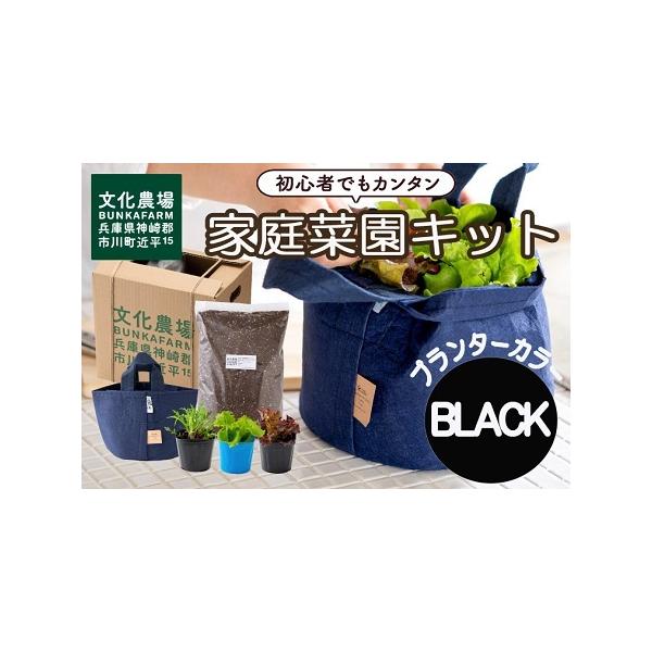 ■ 容量　・サラダ野菜苗３種（レタス２種ともう１種は農場厳選のおまかせ苗）　・ルーツポーチプランター　・家庭菜園用培土（文化の土）　・農園直伝 育て方・お水やりのコツ■ 配送について　通常、1ヶ月程度以内で発送します。