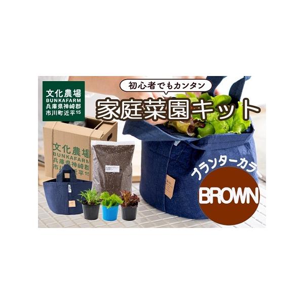 ■ 容量　・サラダ野菜苗３種（レタス２種ともう１種は農場厳選のおまかせ苗）　・ルーツポーチプランター　・家庭菜園用培土（文化の土）　・農園直伝 育て方・お水やりのコツ■ 配送について　通常、1ヶ月程度以内で発送します。