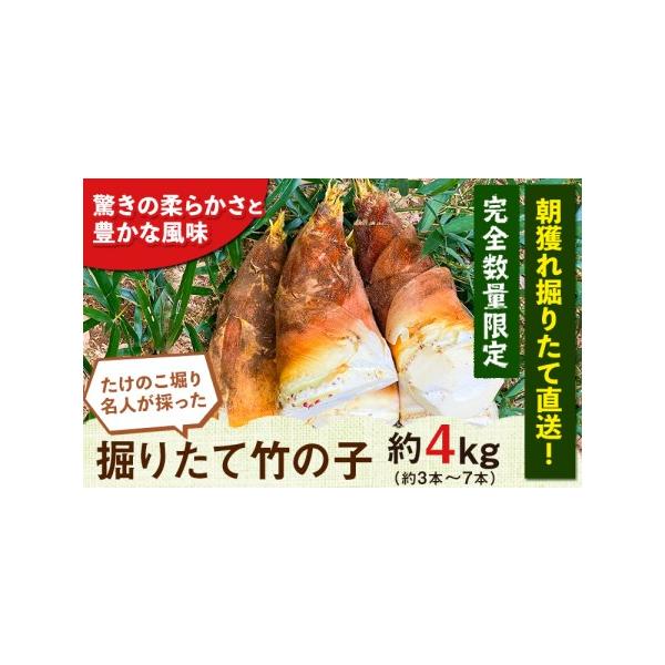 ■ 容量　4kg■ 配送について　2026年3月上旬-4月下旬頃出荷　タイプ：【冷蔵】