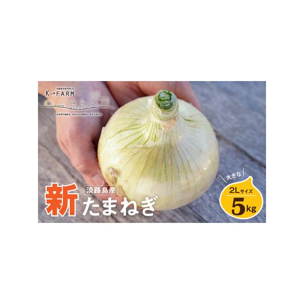 ■ 容量　5kg　　　賞味期限：約1週間（到着後はなるべくお早めにお召し上がりください。）　　配送方法：常温　■ 配送について　2026年3月下旬〜5月頃（天候や収穫の状況により前後する場合がございます）　　タイプ：【常温】