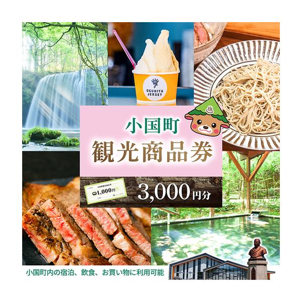 ふるさと納税 【ASOおぐに観光協会】阿蘇 小国町 観光商品券 1000円券 3枚 3千円 三千円 熊本 阿蘇 小国町 杖立温泉 わいた温泉郷 湯けむり 蒸し.. 熊本県小国町