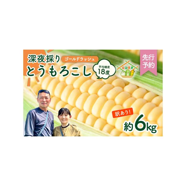 ■ 容量　とうもろこし（ゴールドラッシュ）約6kg (15本前後・大小混在）　　【フードロス対策】　※とうもろこしのサイズは大小混在となります。　※虫食いや子持ち、変形などがある、はね出し品となります。　※先端の食害部分はカットしてお送りし...