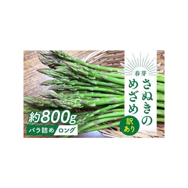 ■ 容量　訳ありアスパラガス(さぬきのめざめロング)春芽 バラ詰め約800g　【賞味期限】　お早めにお召し上がりください。■ 配送について　2026年2月下旬頃〜2026年6月中旬頃の間収穫次第順次発送(※配送日指定不可)　【受付期間】　2...