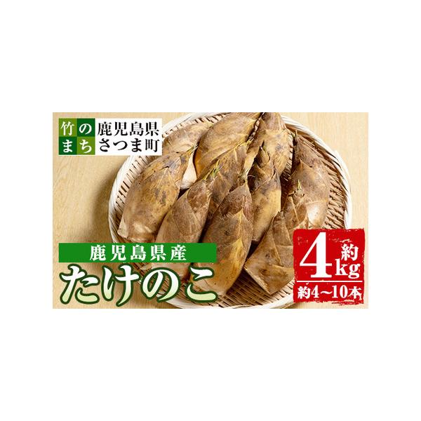 ■ 容量　4kg(約4〜10本)■ 配送について　2026年3月下旬より順次発送　タイプ：【冷蔵】