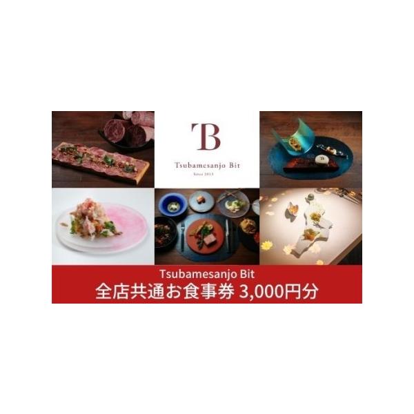 ふるさと納税 Tsubamesanjo Bit 全店共通お食事券 3,000円分　（燕三条イタリアンBit全店 東京・新潟・燕三条）お料理券 食事商品券 【010S003】 新潟県三条市