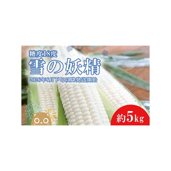 ■ 容量　境町産白いとうもろこし「雪の妖精」約5kg■ 配送について　★★ご注意★★　・こちらの返礼品は、収穫後2026年6月下旬以降の発送となります。予めご了承ください。※天候の影響で、お届けが前後する場合がありますのでご了承ください。　...