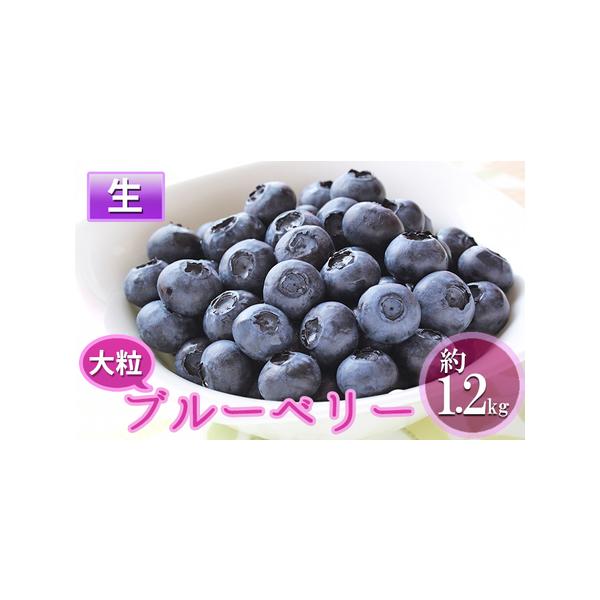 ■ 容量　長野県産大粒ブルーベリー　100g　12パック入り（生食用）　■ 配送について　2026年7月中旬〜7月下旬　　タイプ：【冷蔵】