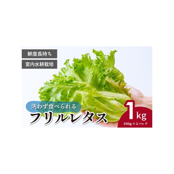 ■ 容量　＜商品名＞　洗わず食べられる！フリルレタス　　＜内容量＞　1kg(500g×2袋)　　＜賞味期限＞　発送日から10日間　※商品到着後は冷暗所に保管し、お早めにお召し上がりください。　　＜申込期日＞　通年　　＜提供事業者＞　株式会社...