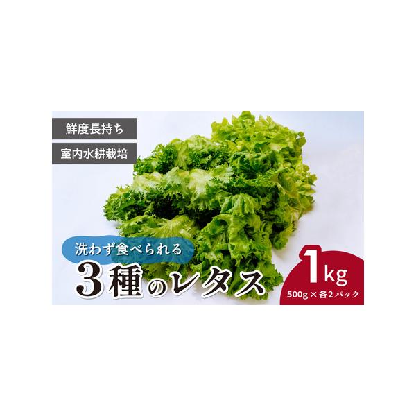 ■ 容量　＜商品名＞　洗わず食べられる！3種のレタス　　＜内容量＞　・フリルレタス(6株程度)　・グリーンオーク(2株程度)　・グリーンリーフ(2株程度)　各500g×2パック 計1kg　　＜賞味期限＞　発送日から10日間　※商品到着後は冷...