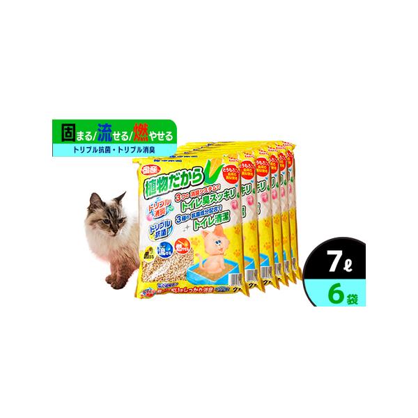 ■ 容量　【内容量】　　7L×6袋■ 配送について　 【発送時期】　　決済から30日前後で発送　　【配送について】　　配達日指定はお受けできません。　　※時間指定は可能です。　タイプ：【常温】