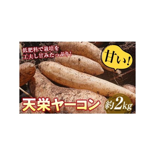■ 容量　天栄ヤーコン約2kg（6本〜13本）　※サイズは出荷時期によって異なりますのでご了承ください■ 配送について　2025年12月中旬より順次発送　タイプ：【常温】