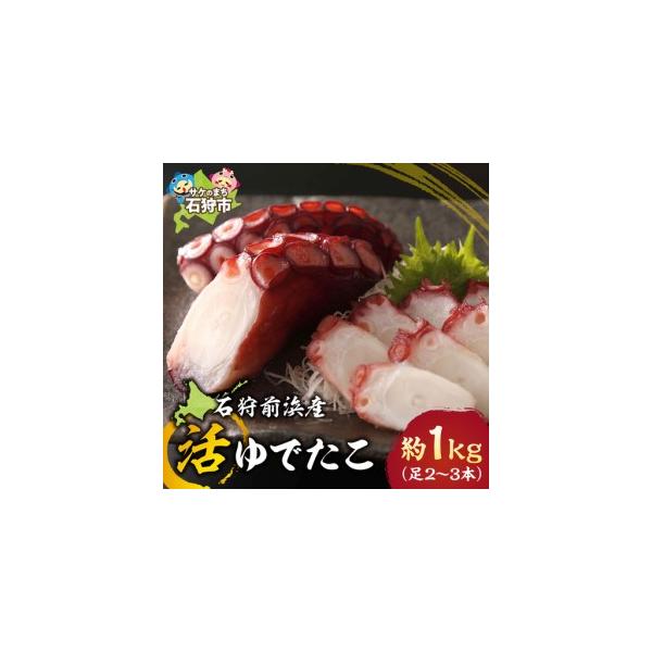 ふるさと納税 石狩前浜産 活ゆでたこ 約1kg（足2〜3本）｜海鮮 たこ タコ 石狩前浜産 北海道 石狩市 北海道石狩市