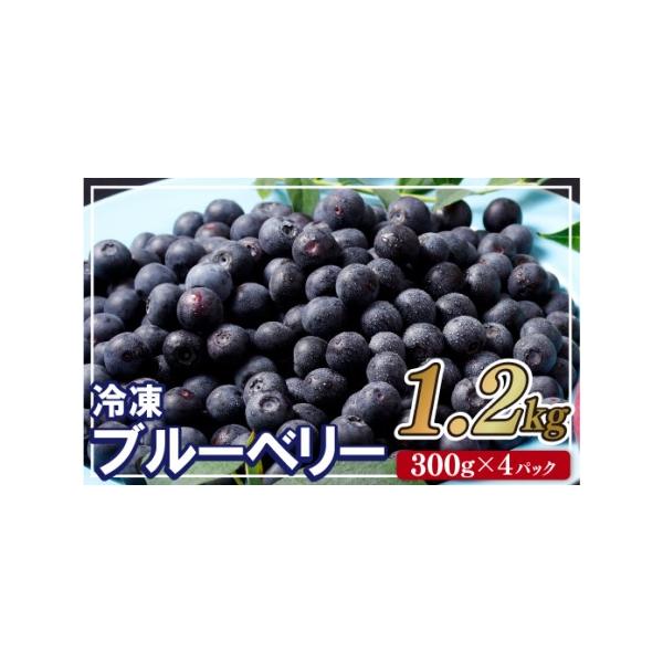 ■ 容量　〇冷凍ブルーベリー「あいあいの雫」4(各300g)　〇消費期限：製造日含む12ヵ月■ 配送について　決済から20日以内で発送　タイプ：【冷凍】【のし】
