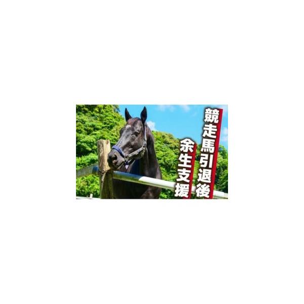 furunavi_559689