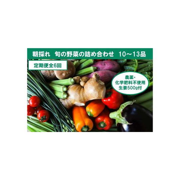 ■ 容量　■内容量/原産地　栽培期間中に農薬不使用の生姜200gと旬の土佐野菜を10〜13品目を詰め合わせ、月に1回ずつ定期便としてお届けいたします。　　例）１月から発送する場合　１月、２月、３月の全３回発送。　　※内容はお任せとなります。...
