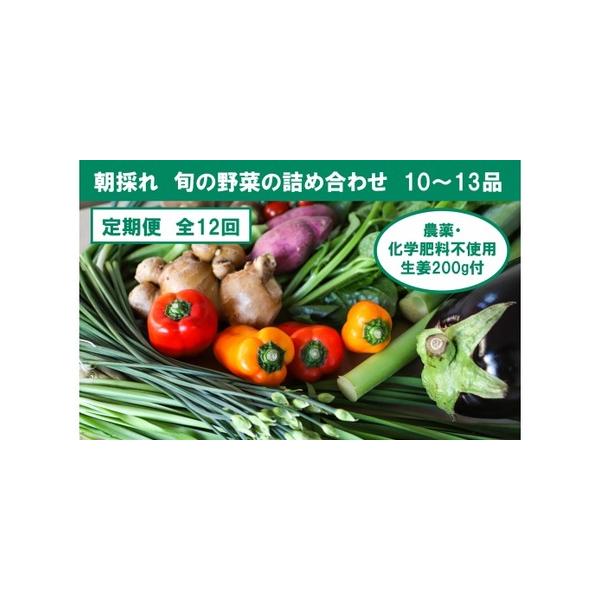■ 容量　■内容量/原産地　栽培期間中に農薬不使用の生姜200gと旬の土佐野菜を10〜13品目を詰め合わせ、月に1回ずつ定期便としてお届けいたします。　　例）１月から発送する場合　１月、２月、３月の全３回発送。　　※内容はお任せとなります。...
