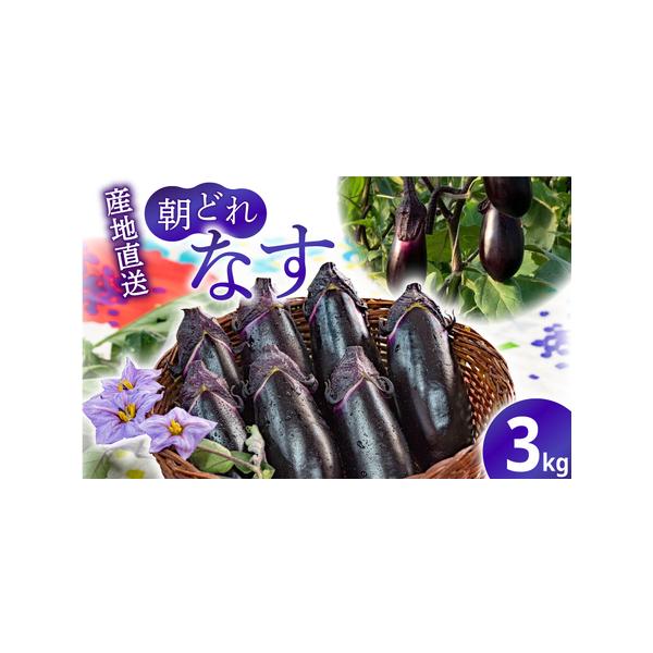 ■ 容量　なす：約3kg（42本程度）　　【賞味期限】　1週間以内■ 配送について　発送時期:9月〜6月頃（7月〜8月は発送できません。）　※日時指定は対応できませんので予めご了承ください。　※2025年12月中のご寄附分は2026年1月よ...