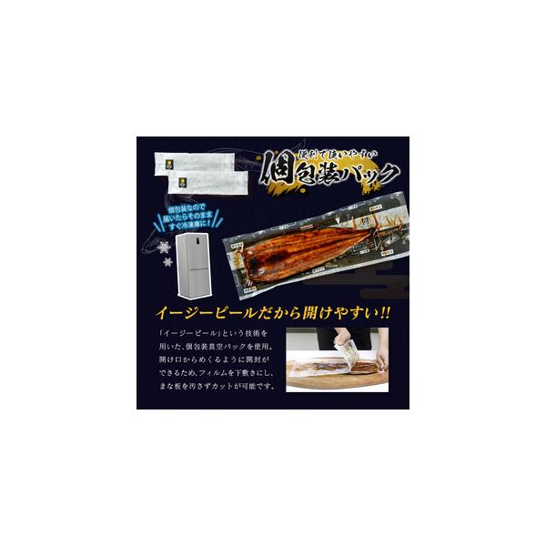 furunavi_583737_3_d_20260401134505