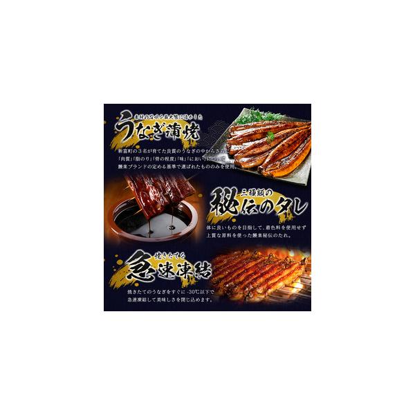 furunavi_583737_4_d_20260401134505