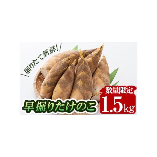 ■ 容量　筍：60サイズ(2kgケース)　正味1.5kg■ 配送について　2025年12月下旬〜翌年2月末の間に発送予定。　※こちらの商品は【事前にお客様へご連絡後】発送させていただきます。　※ご連絡がつかない場合、大変申し訳ございませんが...