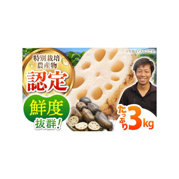 ■ 容量　■内容量　蓮根3kg　　■原産地　佐賀県江北町■ 配送について　生鮮食品になりますので、お受け取りができないお日にちがある場合は必ず備考欄に記入をお願いいたします。指定日配送は承りかねます。　　※9月?10月はクール便、11月以降...