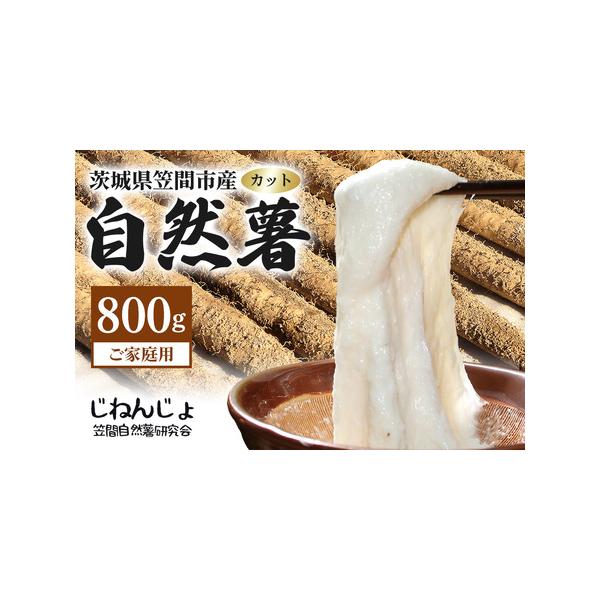 ■ 容量　ご家庭用自然薯　約800g　サイズ形が不揃いなものが含まれます■ 配送について　ご寄附納入確認後、1ヶ月程度でお送りいたします。　※7月 - 9月は冷蔵にて発送致します。　タイプ：【常温】【冷蔵】