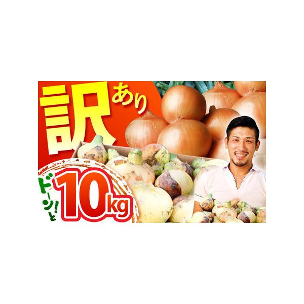 ■ 容量　■内容量　玉ねぎ 10kg　※玉ねぎのサイズにより、内容量が若干前後する可能性がございます。あらかじめご了承ください。　　■原産地　佐賀県江北町■ 配送について　玉ねぎの生育状況および天候状況等により、期日が前後する可能性がござい...