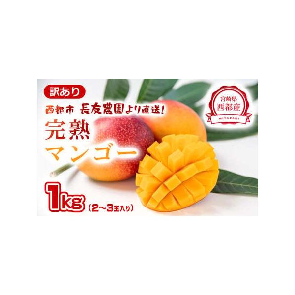 ■ 容量　1kg 2玉〜3玉　　(玉数はお選びできません）■ 配送について　令和8年4月下旬〜7月上旬の順次発送予定　※作物ですので天候等により、収穫が早まったり遅れる場合がございます　※ご不在等がある場合は、必ず連絡ください　※GW中も発...