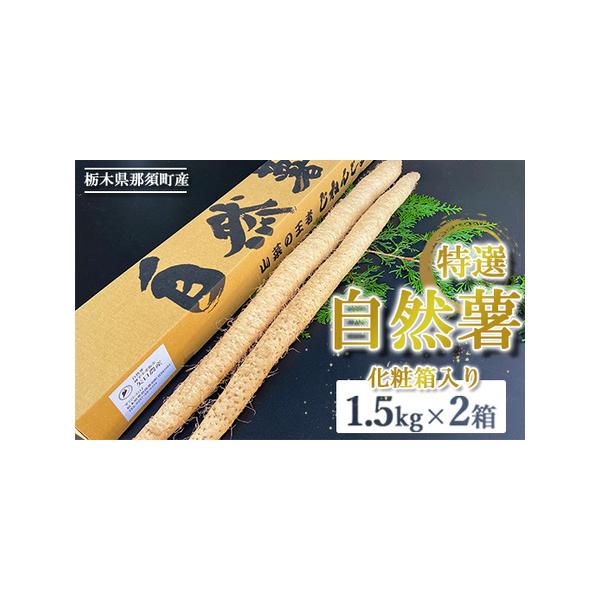 ■ 容量　自然薯1.5kg×2箱押し麦45ｇ■ 配送について　2025年12月頃より順次発送予定　タイプ：【常温】