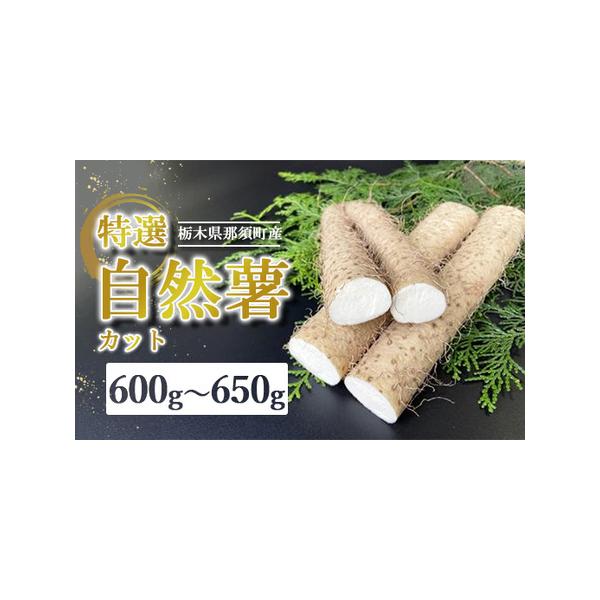■ 容量　自然薯 600g〜650g　押し麦 1袋■ 配送について　2025年12月頃より順次発送予定　タイプ：【常温】