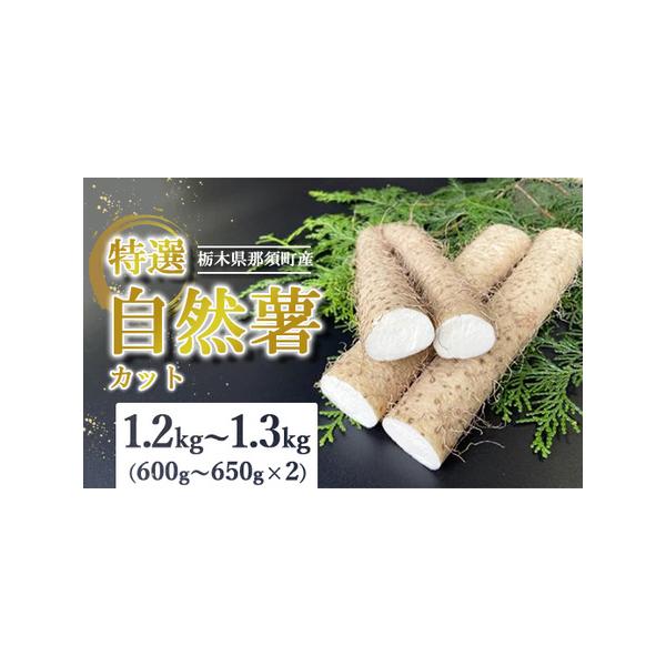 ■ 容量　自然薯 600g〜650g×2　押し麦 1袋■ 配送について　2025年12月頃より順次発送予定 　タイプ：【常温】