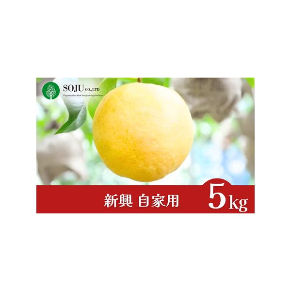 ■ 容量　6〜14個（合計約5kg）■ 配送について　【申込期日】※数量限定のため、予定数量に達し次第受付終了　【発送期日】申込完了から1〜2週間程度　※天候や生育状況によって、お届け時期が前後する場合がございます。　タイプ：【常温】