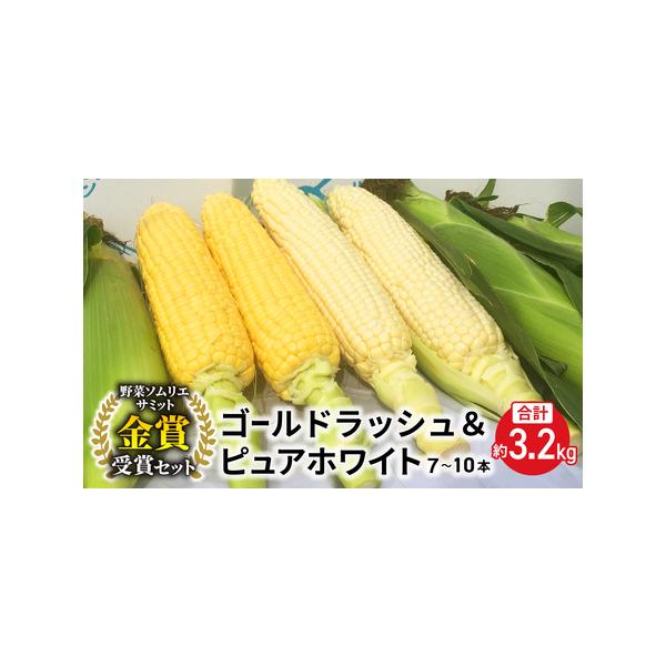 ■ 容量　・ピュアホワイト　約1.6kg（3〜5本）　・ゴールドラッシュ　約1.6kg（3〜5本）　合計約3.2kg（7〜10本）■ 配送について　2026年7月上旬〜9月上旬頃までのお届けの予定です。　※天候・気候の諸条件により収穫・出荷...