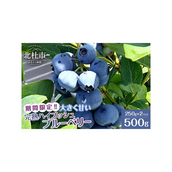 ■ 容量　250gパック×2個(計500g)　　【消費期限】　到着後　冷蔵で1週間以内、冷凍で約半年。　※生鮮品のため、お早めにお召し上がりください。　　【申込可能な期間】　〜2026年5月31日まで　※在庫状況により申込期間が変更になる可...