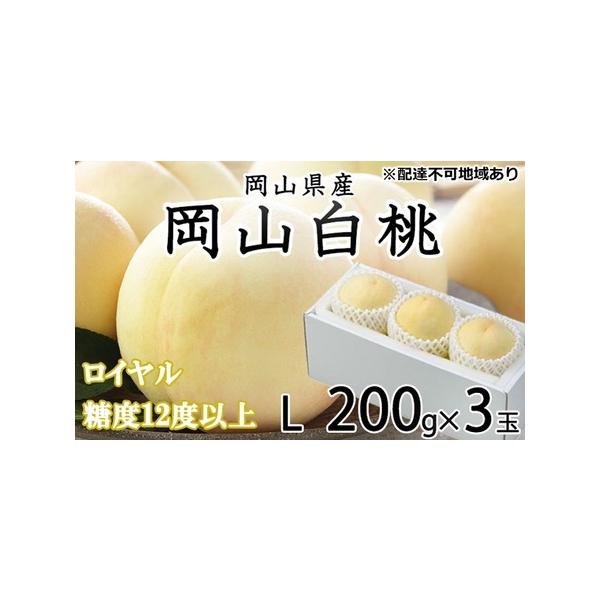 ■ 容量　岡山白桃 ロイヤル 3玉×約200g（Lサイズ、早生種・中生種）　岡山県内産（5条8号ハ）　※お届け日、時間の指定は申し訳ないですが、お受けできません。　※品種の指定、および果実の大きさや玉数等をご指定いただくことはできません。　...