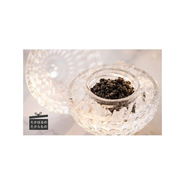 ふるさと納税 THE・CAVIAR(ザ・キャビア)　10g　TF0485-P00066 宮崎県高原町