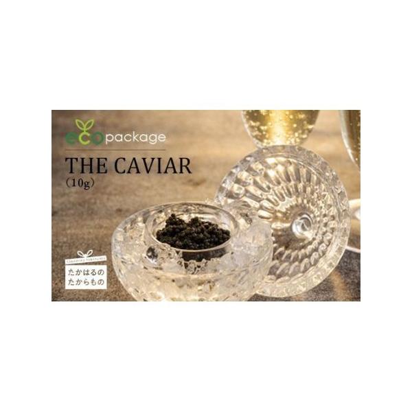ふるさと納税 THE・CAVIAR(ザ・キャビア) 10g ecoパッケージ 訳あり:簡易パッケージ版  TF0531-P00066 宮崎県高原町