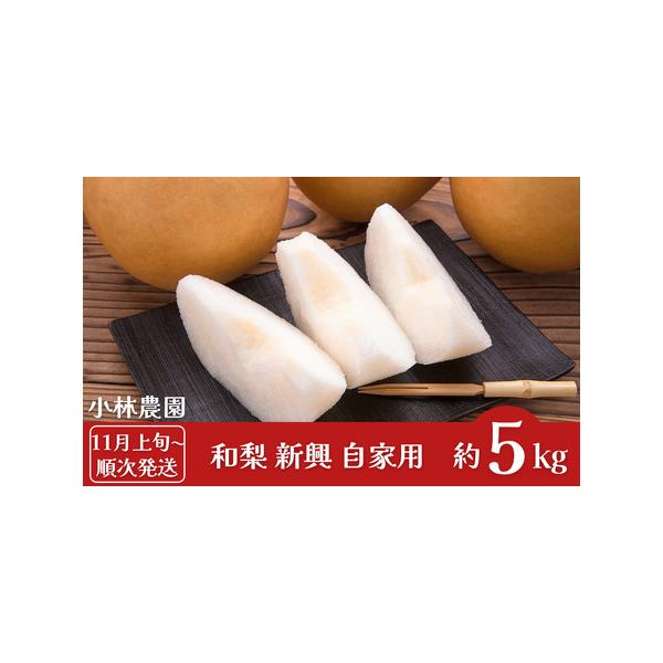 ■ 容量　約5kg(8〜12玉)■ 配送について　[申込期日]※数量限定のため、予定数量に達し次第受付終了　[発送期日]2025年11月上旬頃から順次発送予定　※天候や生育状況によって、お届け時期が前後する場合がございます。　タイプ：【常温】