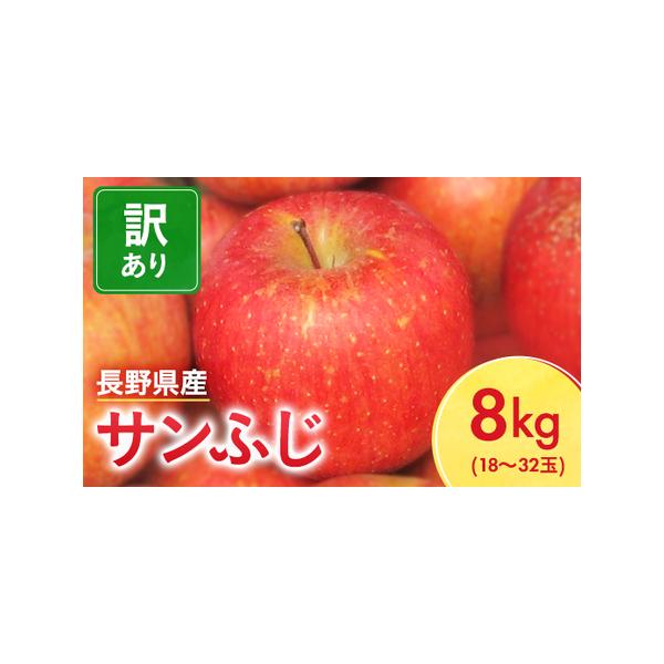 ふるさと納税 長野県産 サンふじ りんご 家庭用 訳あり 8kg(18〜32玉